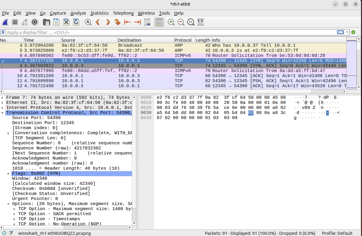 Wireshark packet view